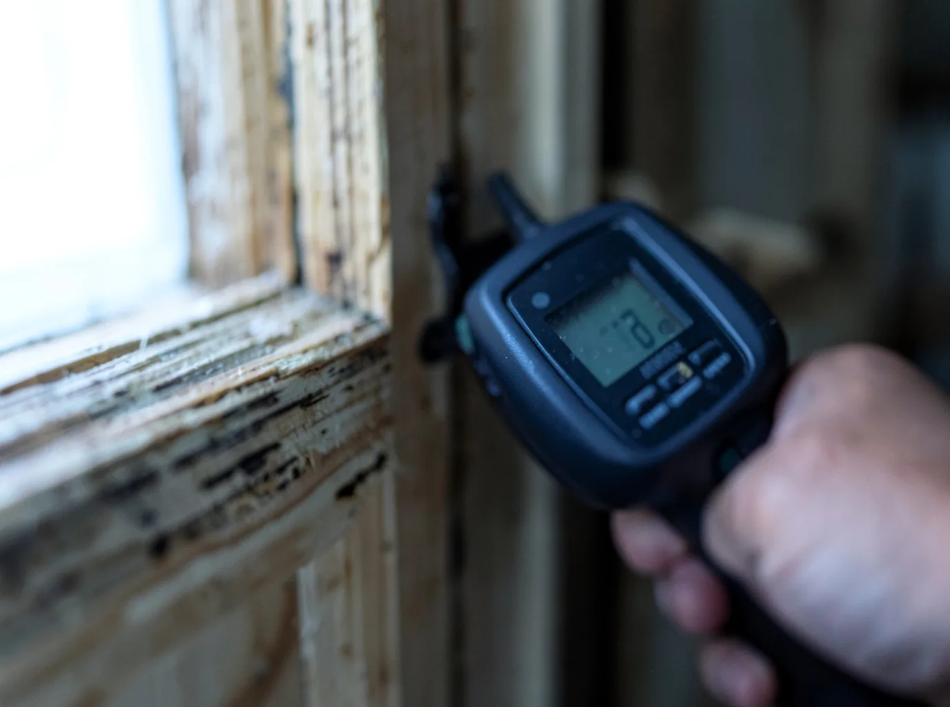 Moisture Inspection And Documentation in Davenport, NY